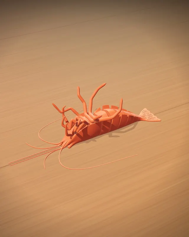 Articulated Shrimp