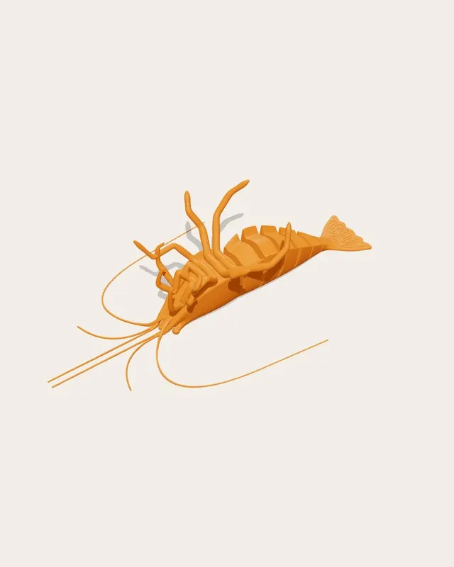 Articulated Shrimp